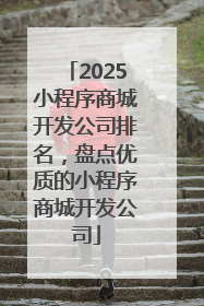 2025小程序商城开发公司排名，盘点优质的小程序商城开发公司