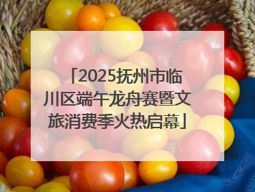 2025抚州市临川区端午龙舟赛暨文旅消费季火热启幕
