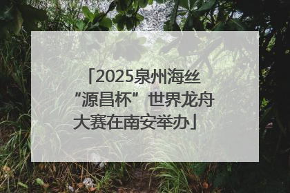 2025泉州海丝“源昌杯”世界龙舟大赛在南安举办