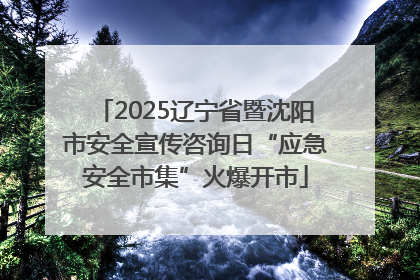 2025辽宁省暨沈阳市安全宣传咨询日“应急安全市集”火爆开市