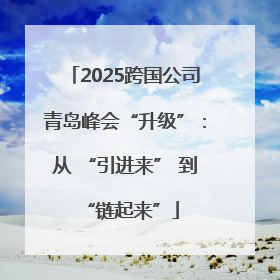 2025跨国公司青岛峰会“升级”:从 “引进来” 到 “链起来”