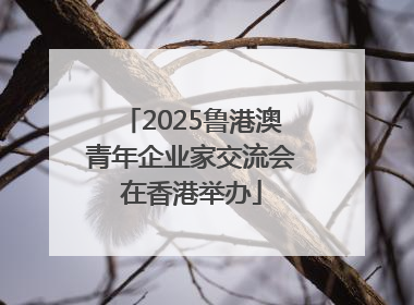 2025鲁港澳青年企业家交流会在香港举办