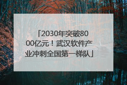2030年突破8000亿元！武汉软件产业冲刺全国第一梯队