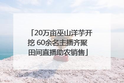20万亩巫山洋芋开挖 60余名主播齐聚田间直播助农销售