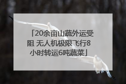 20余亩山蔬外运受阻 无人机极限飞行8小时转运6吨蔬菜