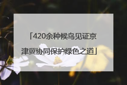 420余种候鸟见证京津冀协同保护绿色之道
