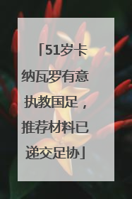 51岁卡纳瓦罗有意执教国足，推荐材料已递交足协