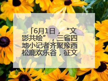 6月1日，“文影共绘”，三省四地小记者齐聚豫西松鹿欢乐谷，征文暨短视频大赛精彩启幕！