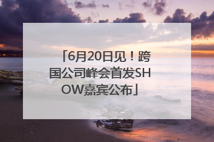 6月20日见！跨国公司峰会首发SHOW嘉宾公布