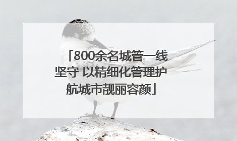800余名城管一线坚守 以精细化管理护航城市靓丽容颜