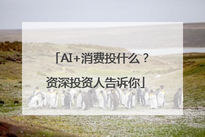 AI+消费投什么？资深投资人告诉你