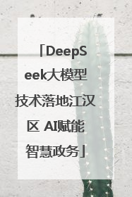 DeepSeek大模型技术落地江汉区 AI赋能智慧政务