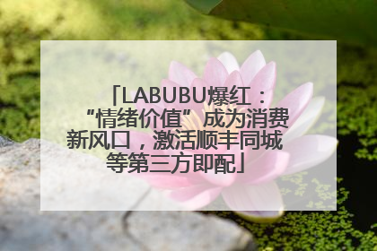 LABUBU爆红：“情绪价值”成为消费新风口，激活顺丰同城等第三方即配