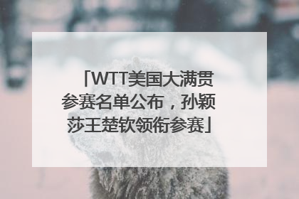 WTT美国大满贯参赛名单公布，孙颖莎王楚钦领衔参赛