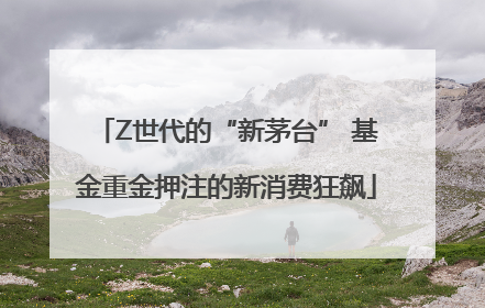 Z世代的“新茅台” 基金重金押注的新消费狂飙